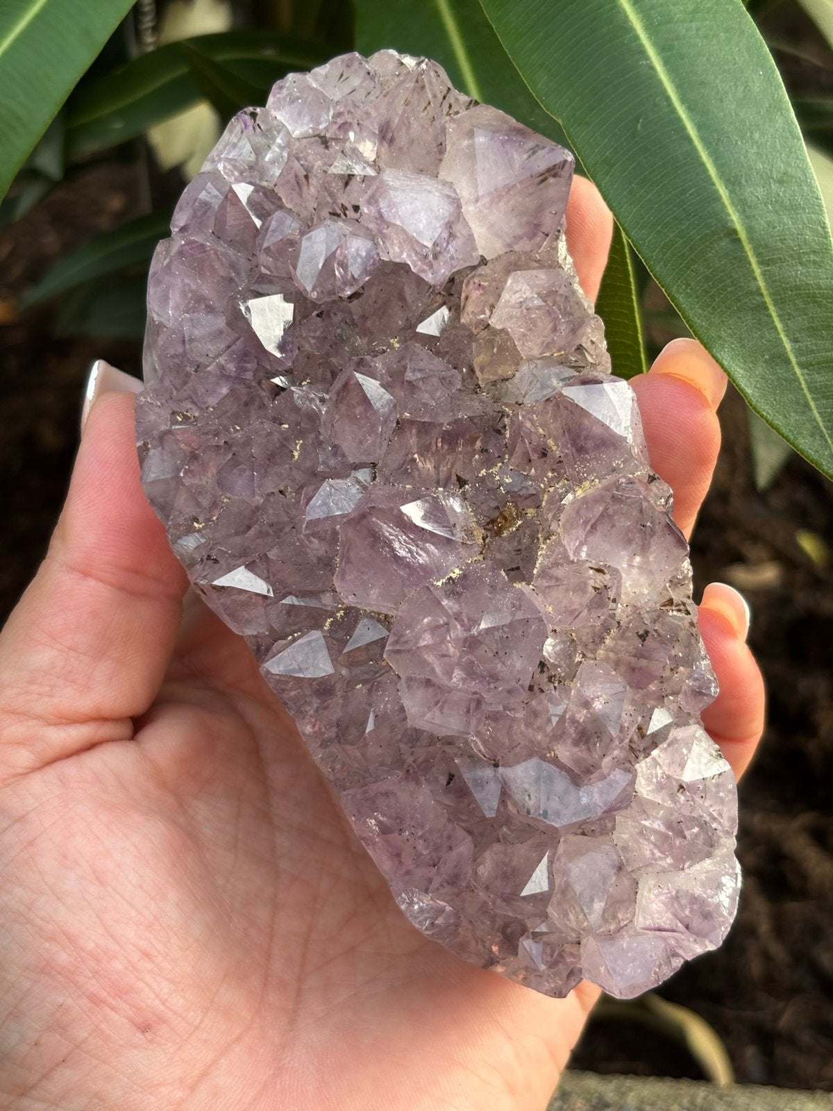 Amethist Edelsteen Cluster - 538 gram, Ophalen of Verzenden, Nieuw