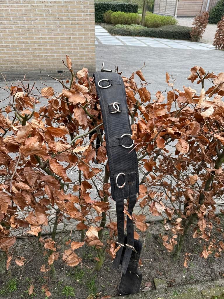 Longeersingel, Dieren en Toebehoren, Ophalen of Verzenden, Gebruikt