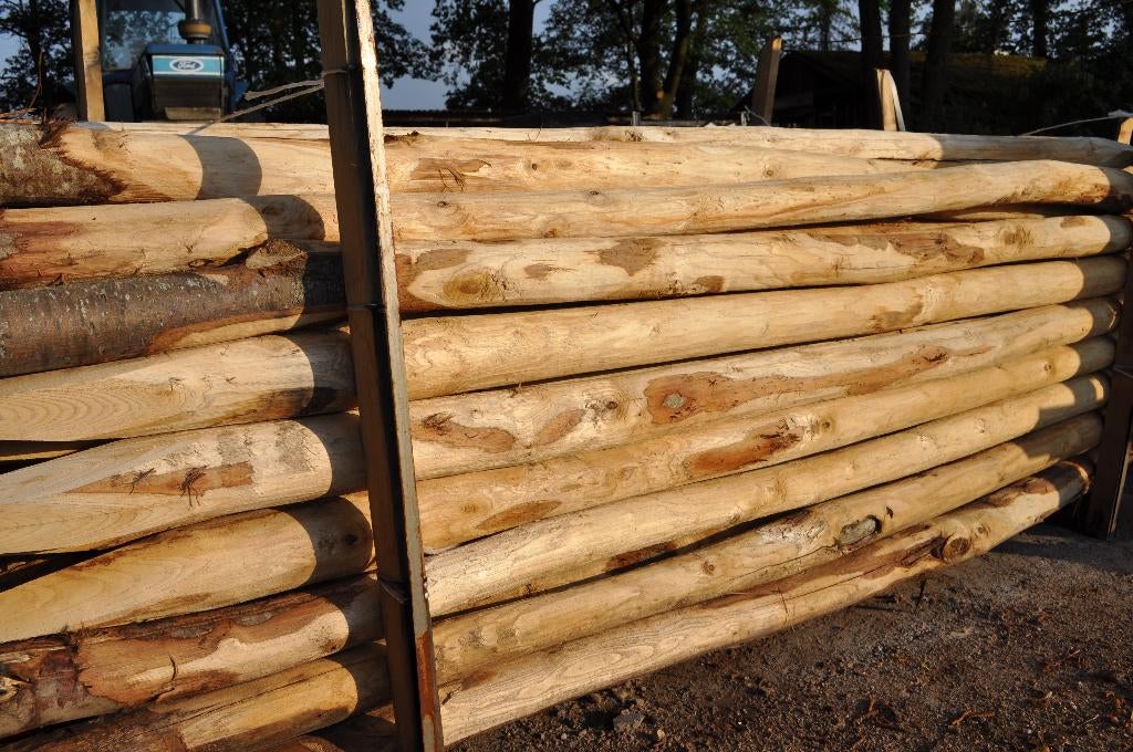 Kastanje palen, Tuin en Terras, Palen, Balken en Planken, Ophalen, Nieuw, 250 cm of meer, Palen