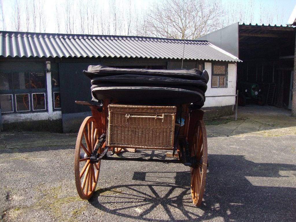 PARKWAGEN, Dieren en Toebehoren, Ophalen, Gebruikt, Overige soorten