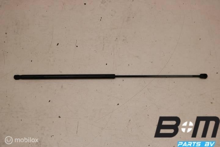 Gasdrukveer voor motorkap Audi A5 8T 8T0823359, Gebruikt