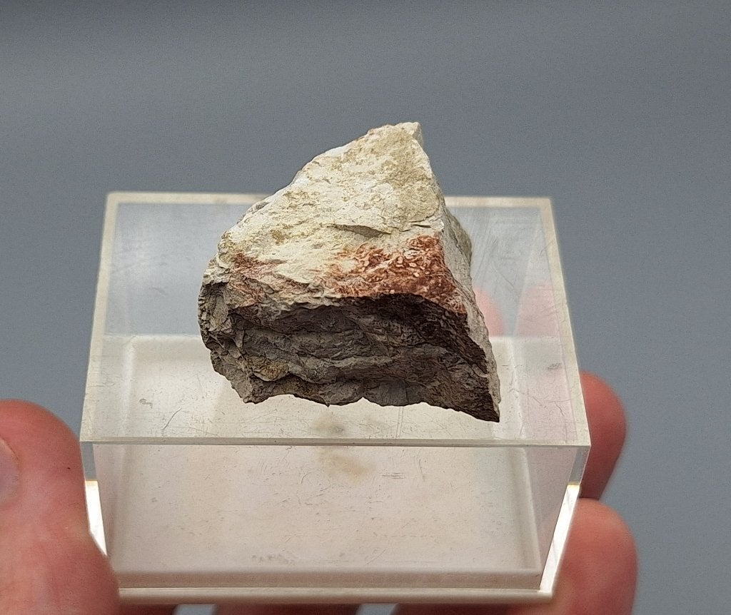 Bokiet - Gibellini Mining District, Nevada, USA, Ophalen of Verzenden, Mineraal