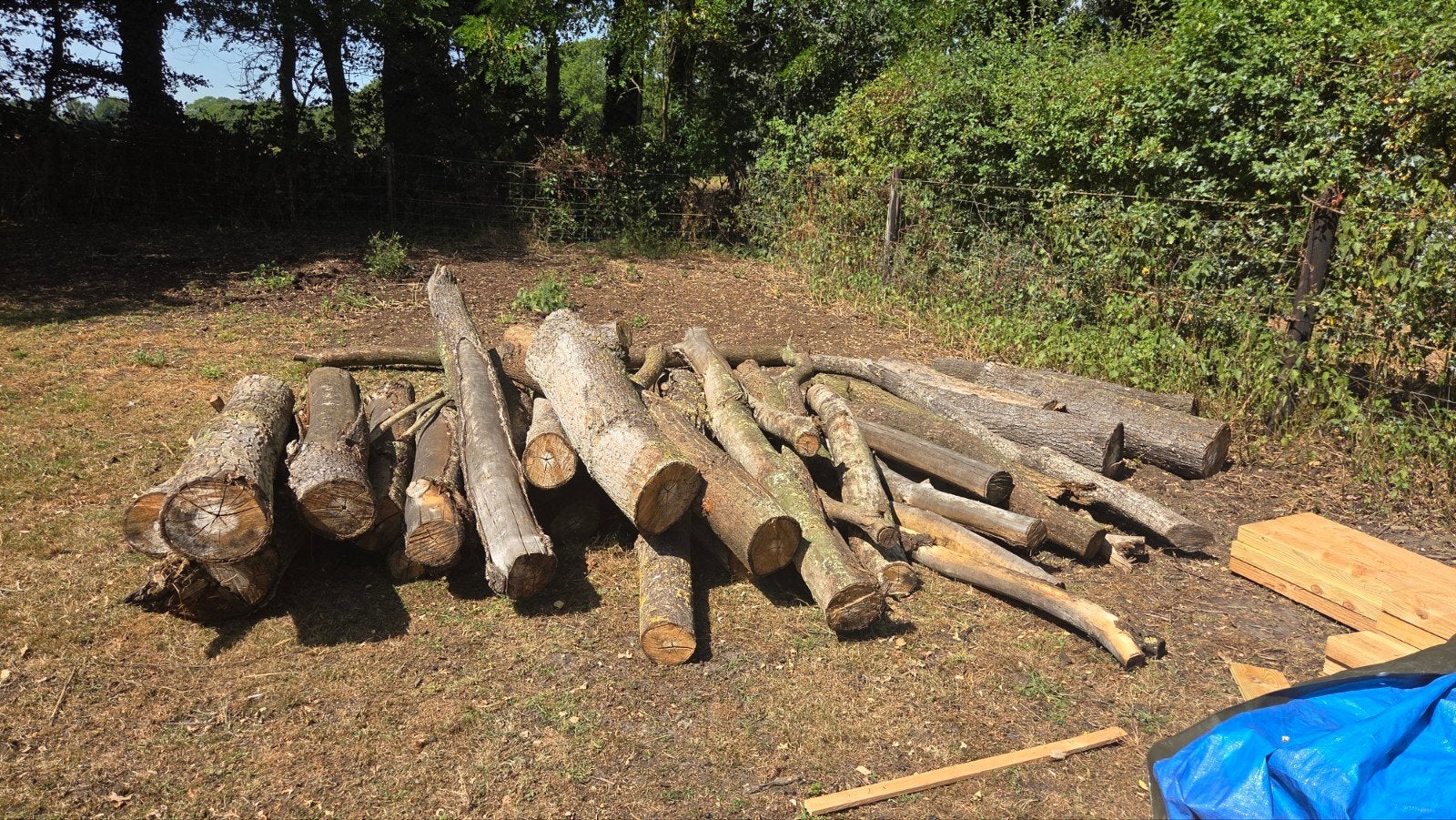Akasia, kersenhout, populier hout - gedroogd/ongedroogd, Tuin en Terras, Haardhout, Minder dan 3 m³, Ophalen, Overige houtsoorten