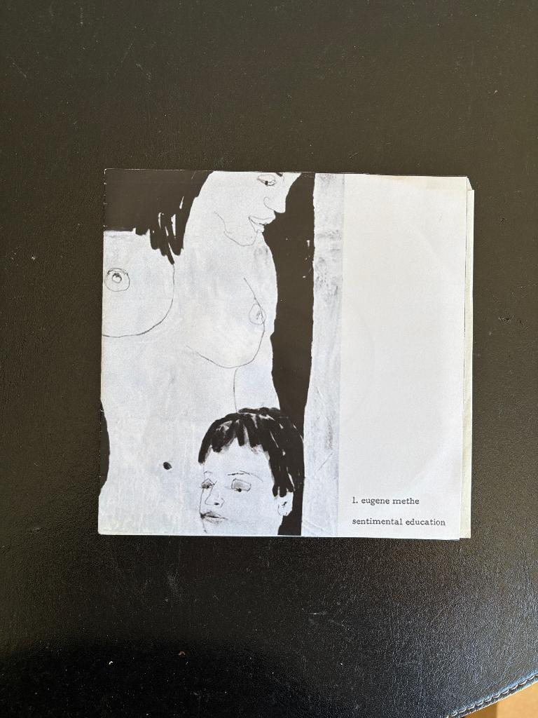 L. Eugene Methe - Sentimental Education  - 2010, Ophalen of Verzenden, Gebruikt