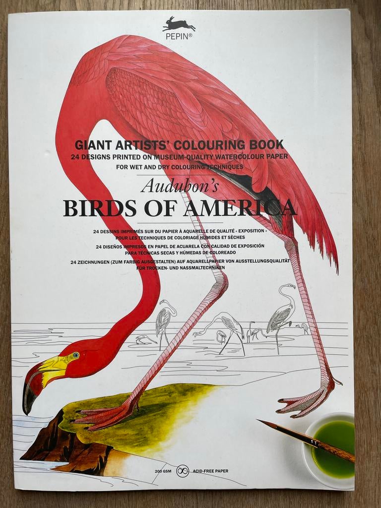Audubon's Birds of America Kleurboek - Pepin Artists' Colour, Ophalen of Verzenden, Nieuw, Boek of Gids