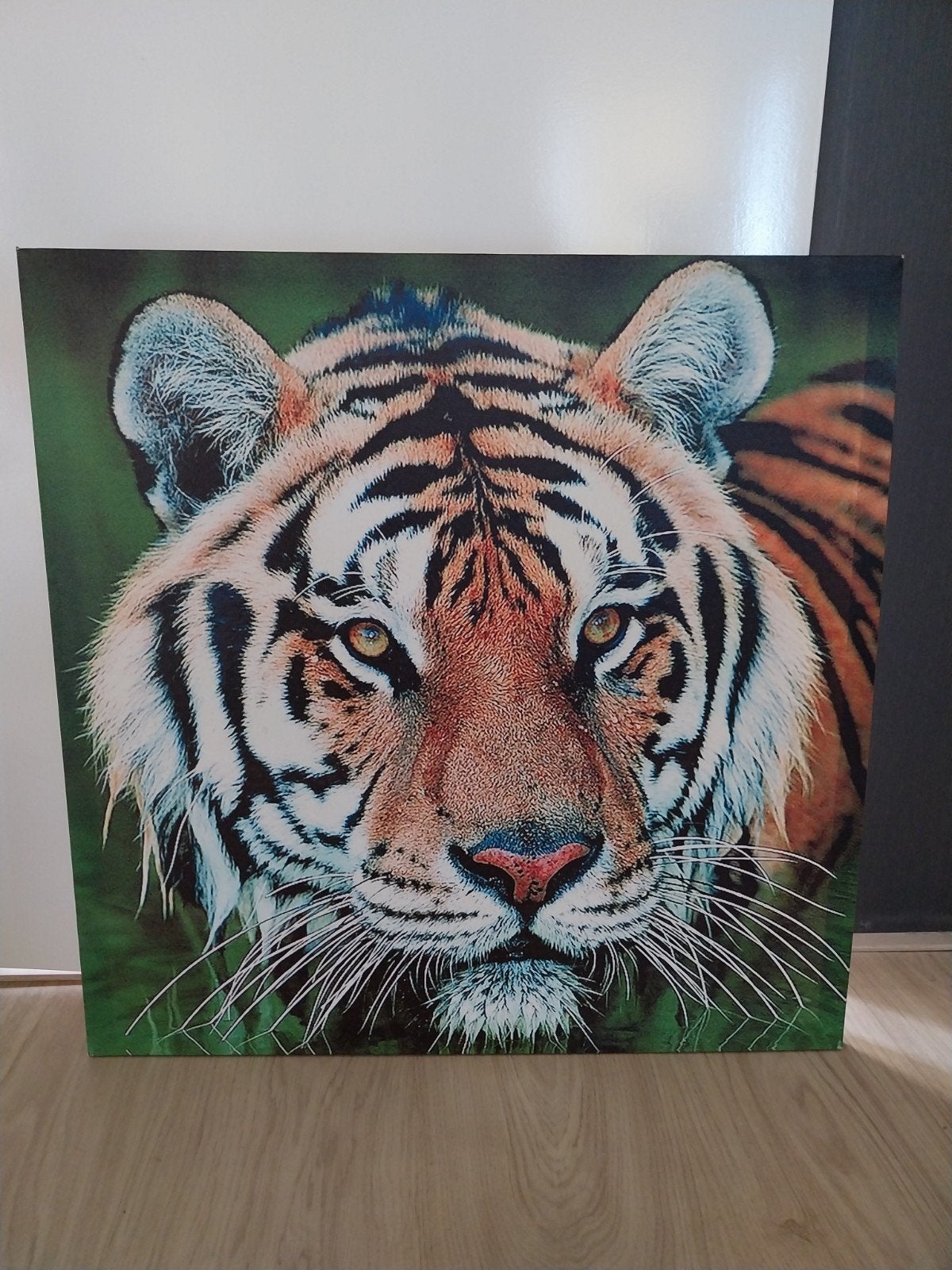 Foto tijger op canvas 60x60cm, Ophalen