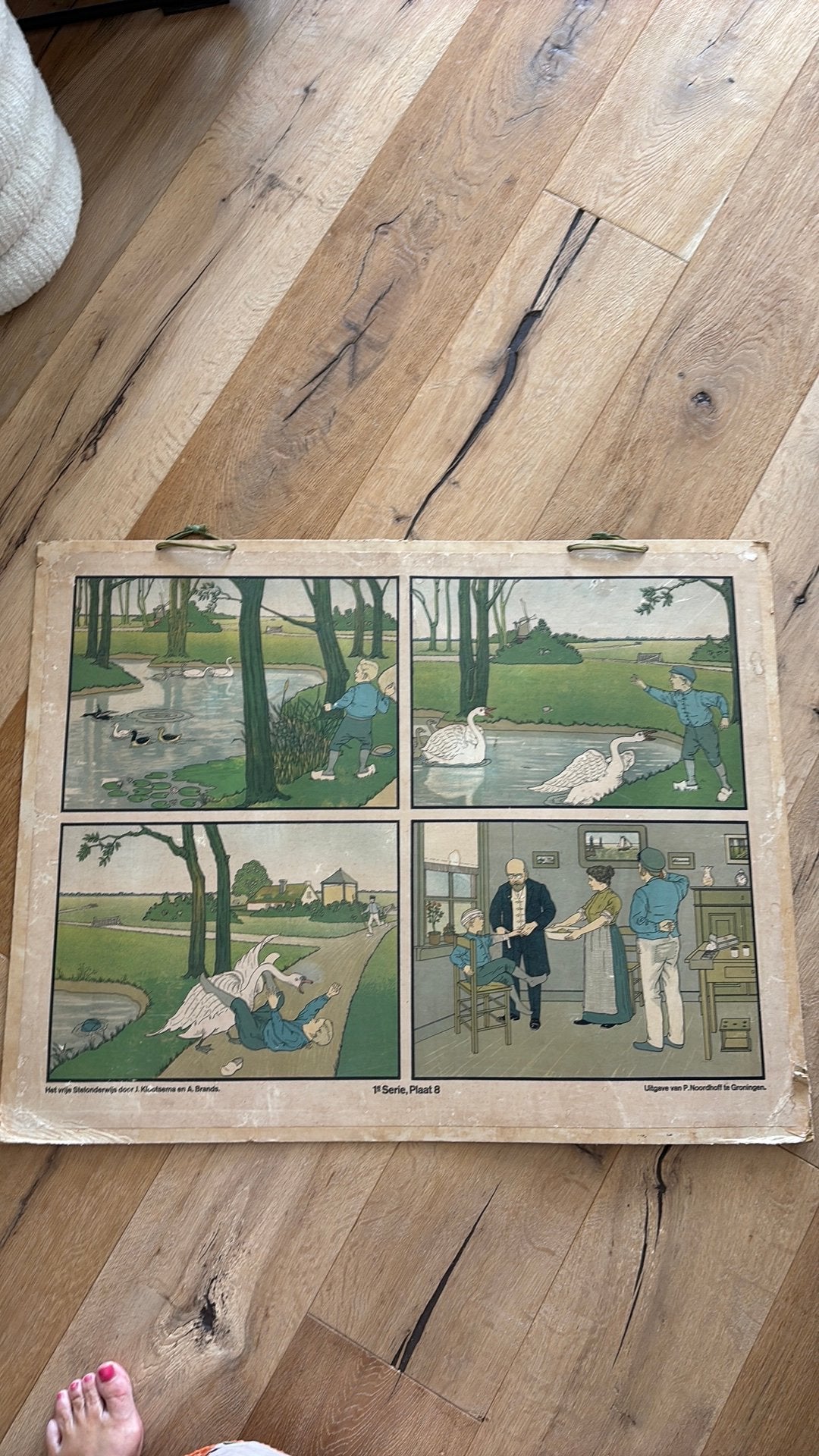 Authentieke schiolplaat Wolters Noordhoff te Groningen, Antiek en Kunst, Antiek | Schoolplaten, Ophalen of Verzenden, Natuur en Biologie