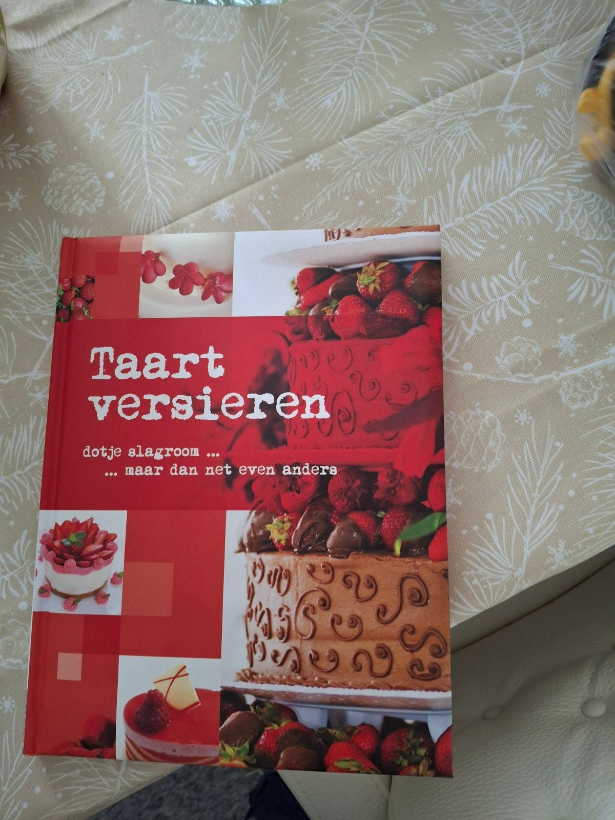 Taart versieren: dotje slagroom ... maar dan net even anders, Boeken, Zo goed als nieuw, Taart, Gebak en Desserts, Overige gebieden
