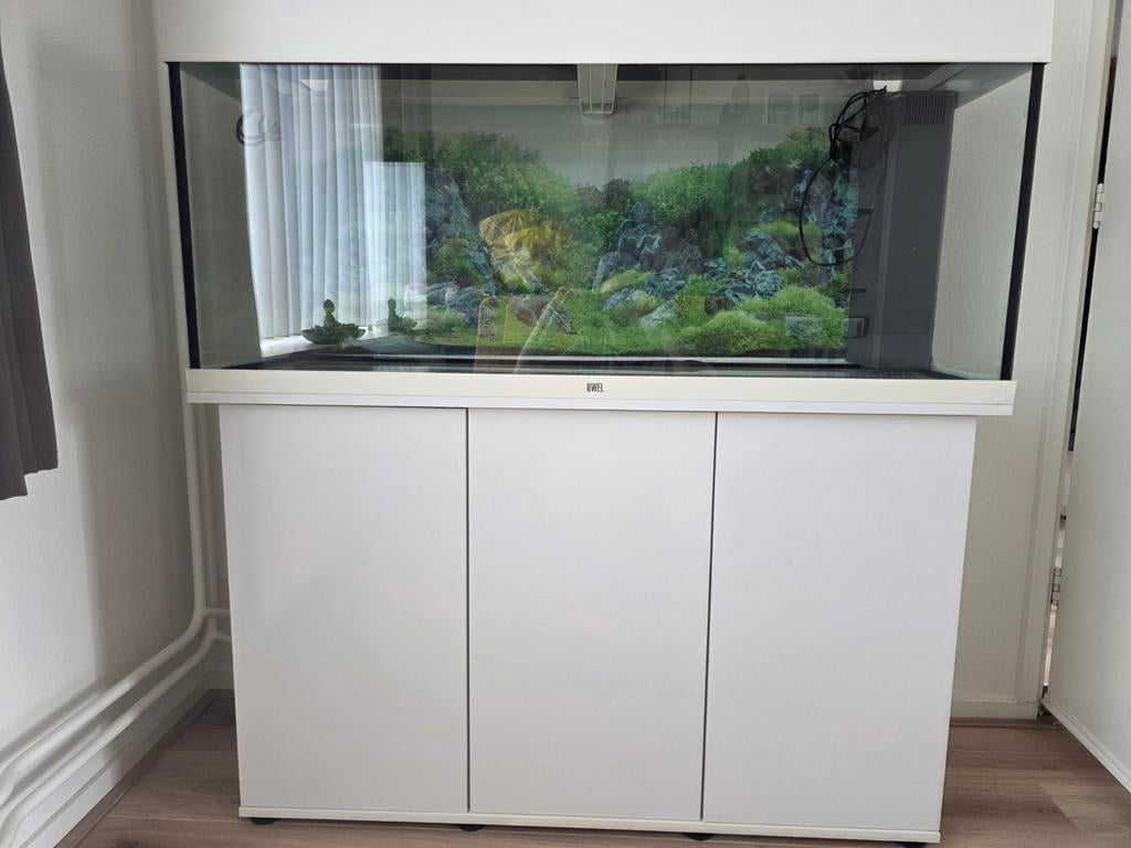 Aquarium met kast en toebehoren, Ophalen, Inclusief toebehoren, Gebruikt, Juwel