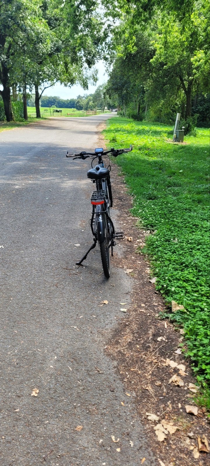 Giant elektrische fiets - Zo goed als nieuw, Ophalen