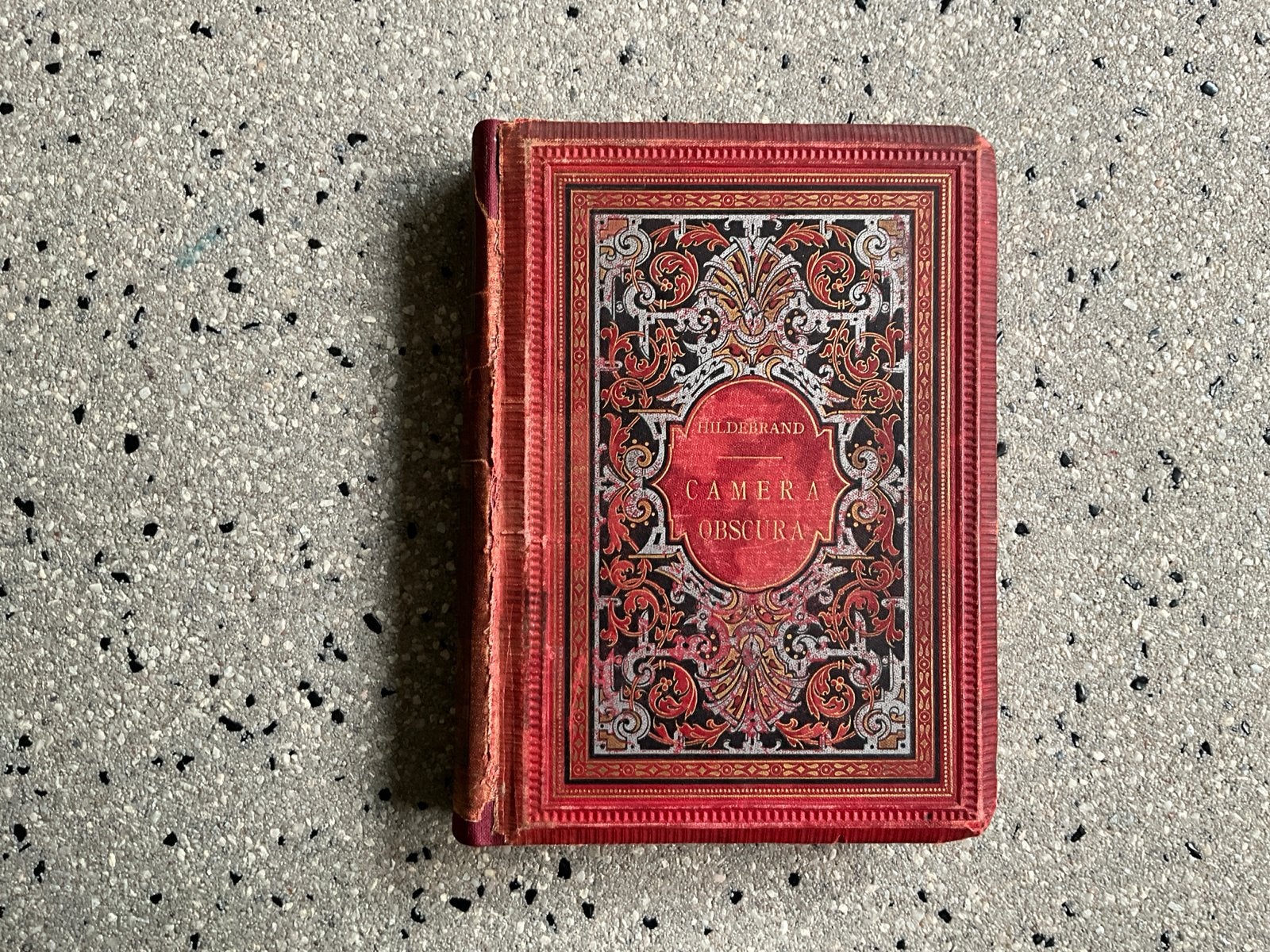 Camera Obscura - Hildebrand (Nicolaas Beets), Ophalen of Verzenden