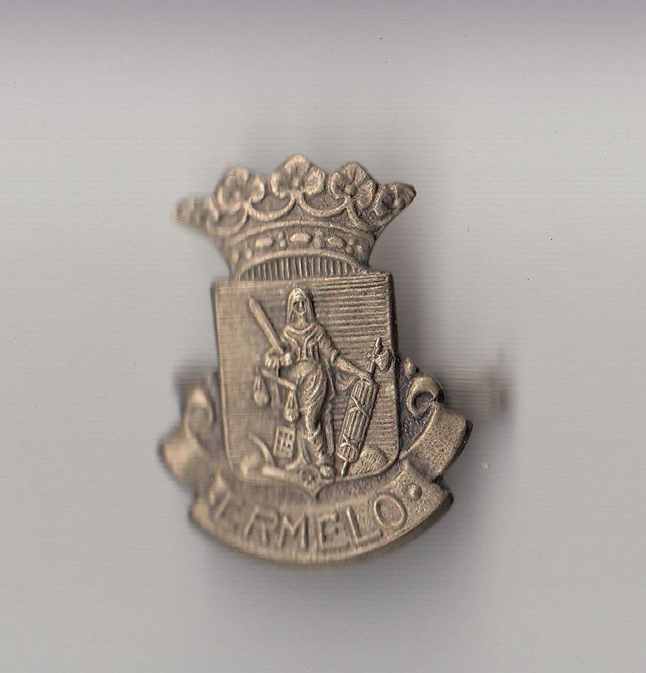 Ermelo Stadswapen broche, Gebruikt, Niet vindbaar, Niet vindbaar, Speldje of Pin