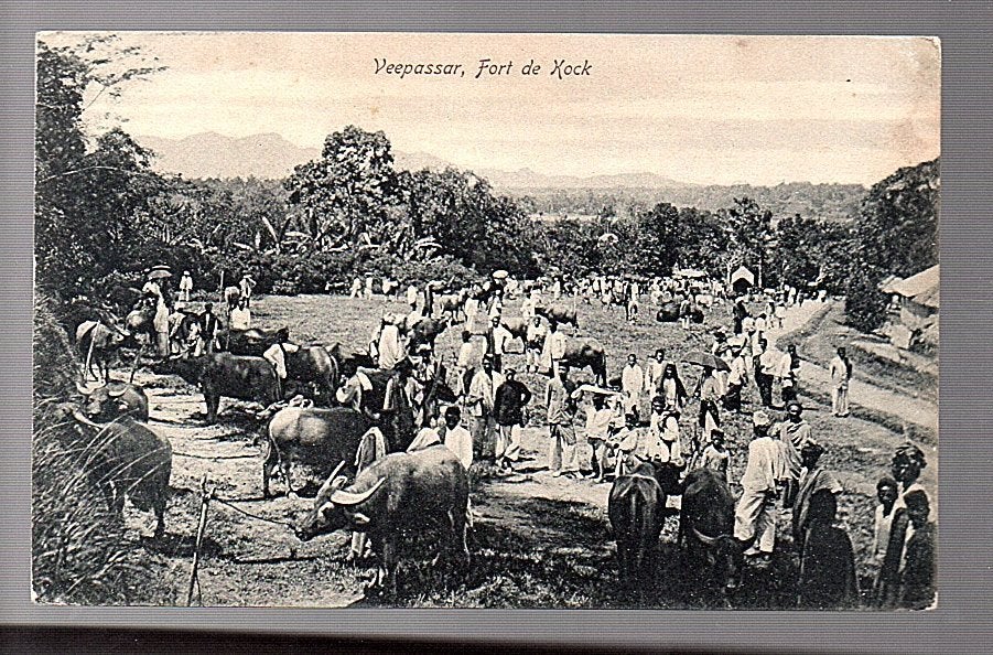 Ned Indië veemarkt Fort de Kock  1910  (14-34), Verzamelen, Ophalen of Verzenden, Voor 1920, Buiten Europa