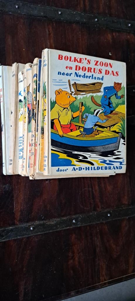 Bolke de Beer boeken - A.D. Hildebrand (diverse titels), Ophalen of Verzenden, Gelezen, A.D. Hildebrand, Fictie algemeen