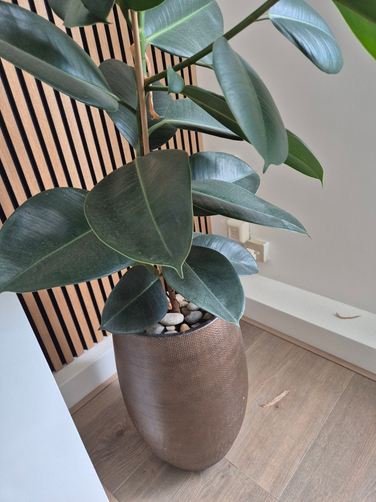 Grote bronzen bloempot met patroon met plant (Ficus E, Huis en Inrichting, Woonaccessoires | Vazen, Overige materialen, Gebruikt
