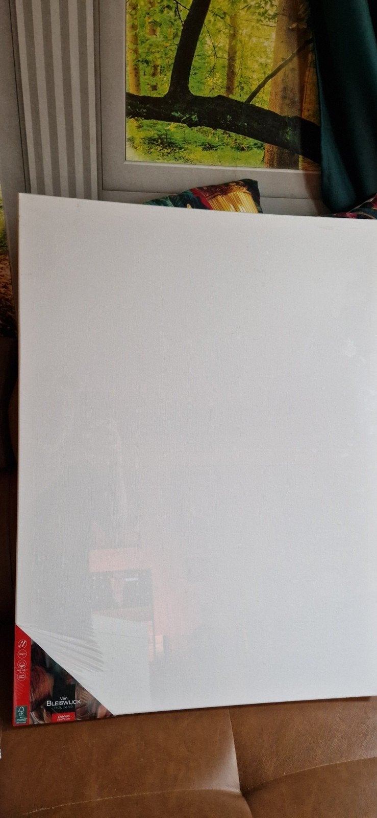 Nieuw Canvas Schilderdoek 50x70 cm - Van Bleiswijck, Hobby en Vrije tijd, Ophalen of Verzenden, Nieuw, Doek