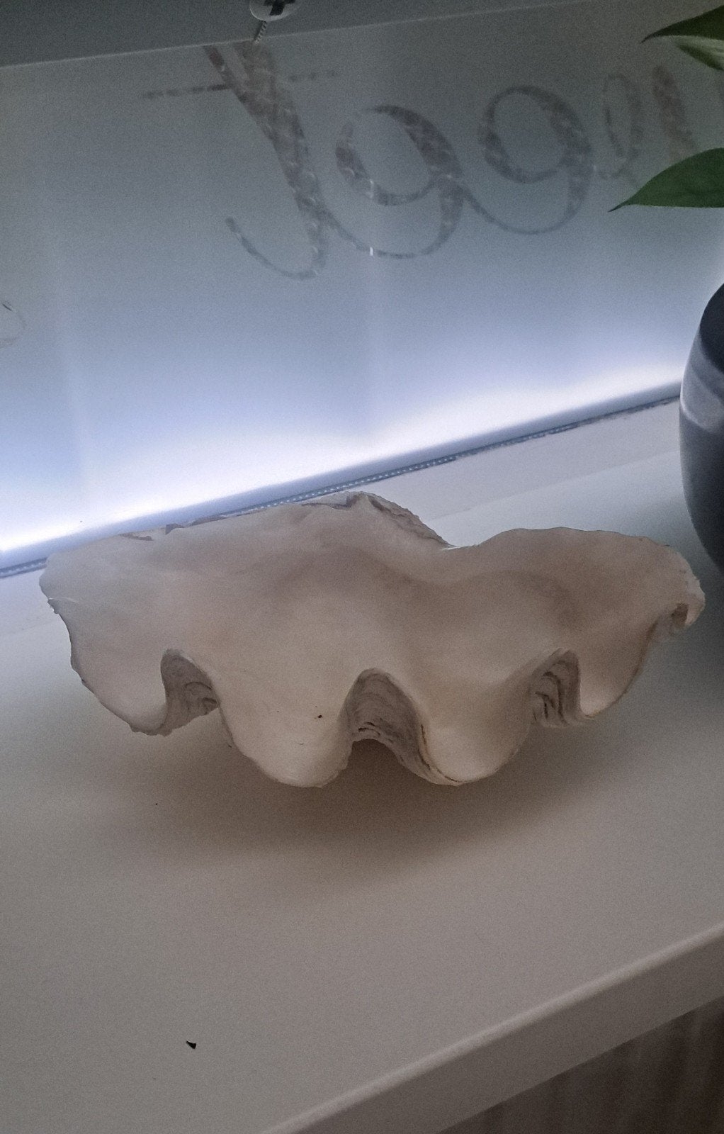 doopvontschelp, Verzenden