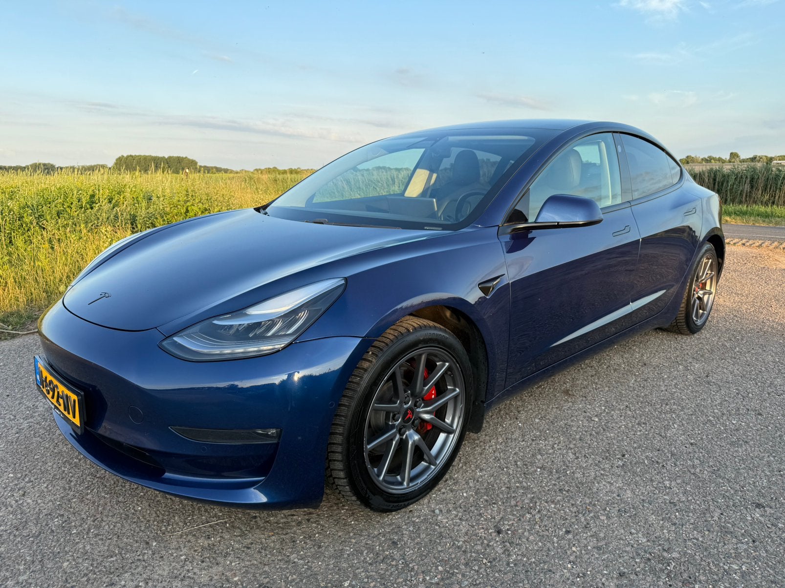 Tesla Model 3 75kWh AWD Dual motor Long range Trekhaak SOH81, Automaat, Zwart, Leder, Elektrisch