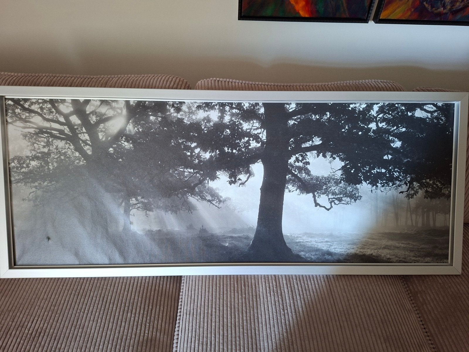Ingelijste zwart-wit foto van bos, Huis en Inrichting, Woonaccessoires | Schilderijen, Tekeningen en Foto's, Ophalen, Gebruikt