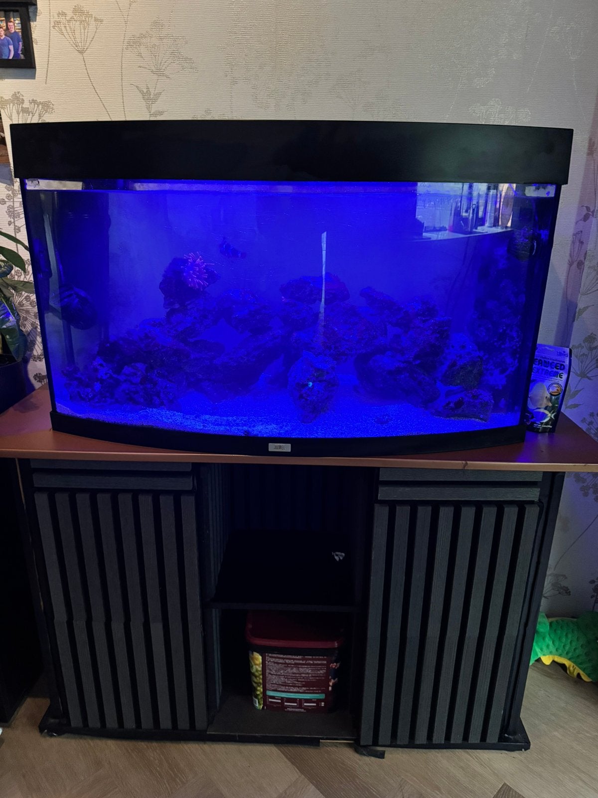 Zoutwater aquarium met alles wat nodig is., Ophalen, Gebruikt, 100 tot 150 cm, Minder dan 100 cm