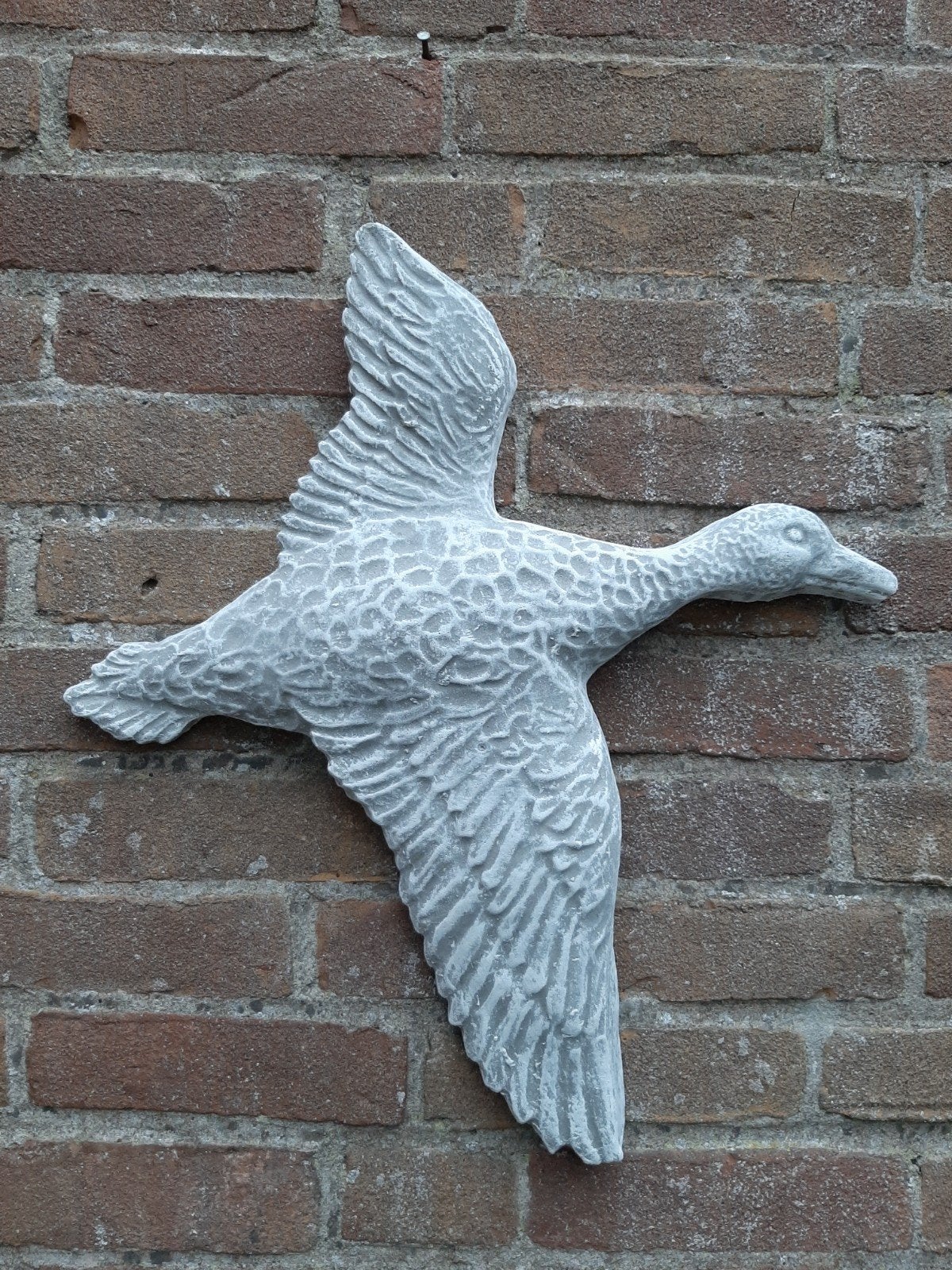 Eend wanddecoratie betonnen beeld tuinbeeld beton, Ophalen