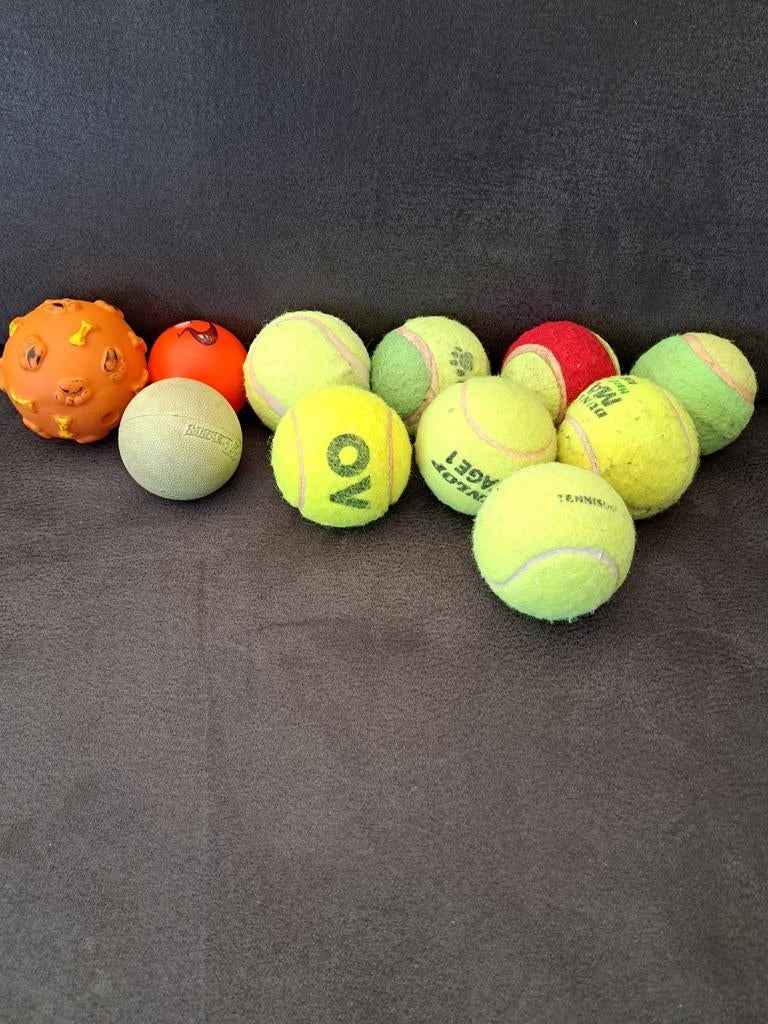 Diverse ballen voor de hond., Ophalen of Verzenden, Nieuw