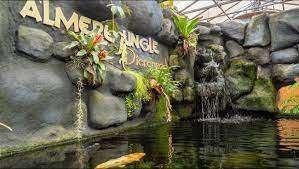 Korting entree Dierenpark Almere Jungle in Almere, Tickets en Kaartjes, Drie personen of meer, Kortingskaart