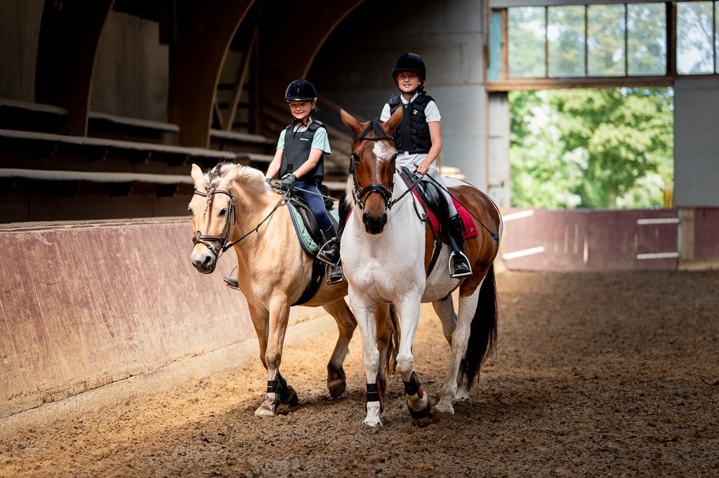 Gezocht braaf, gezond paard (grote pony) voor manegelessen, Dieren en Toebehoren, Meerdere dieren, B, Recreatiepaard, Gechipt