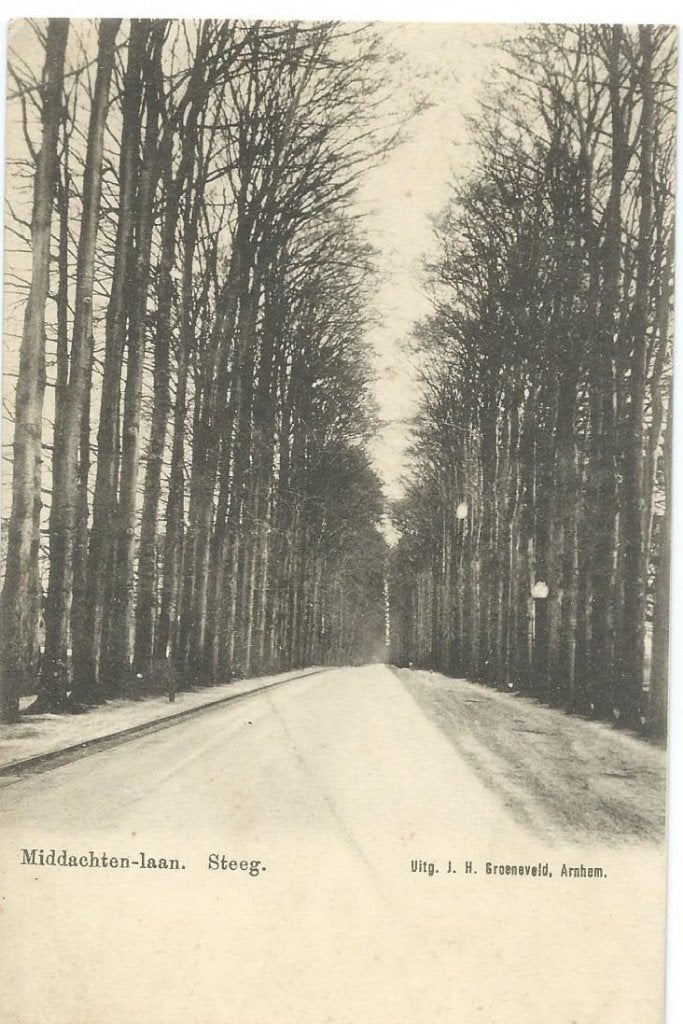 Ansichtkaart STEEG    Middachten-Laan, Ophalen of Verzenden, Ongelopen, Gelderland