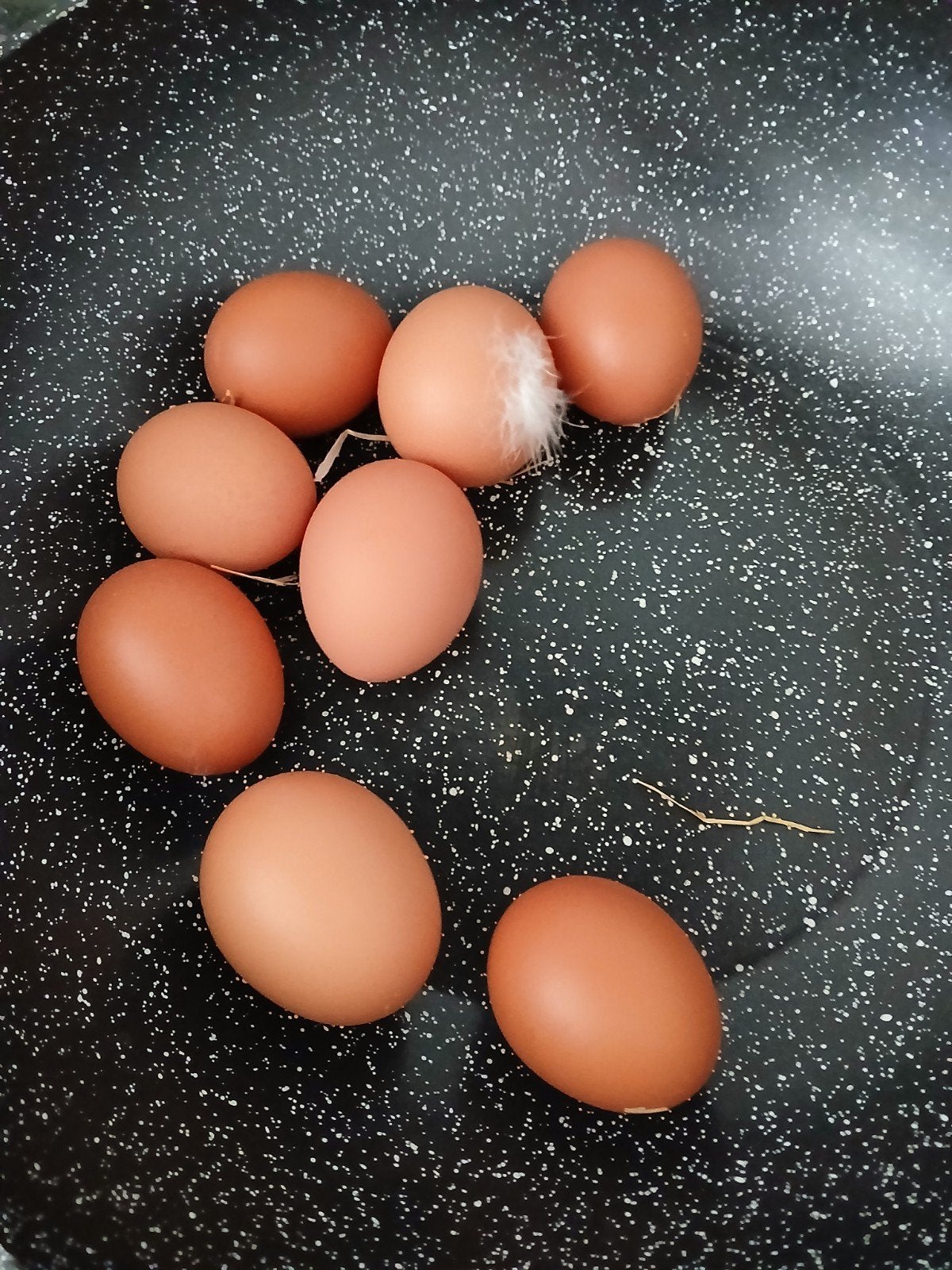 Verse eieren, 6 voor 1.50
12 voor 3.00, Dieren en Toebehoren, Pluimvee, Meerdere dieren, Kip