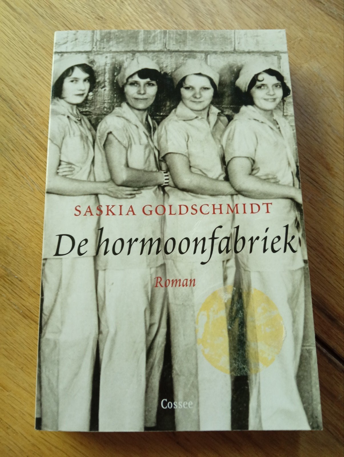 De hormoonfabriek - Saskia Goldschmidt Roman, Gelezen, Ophalen of Verzenden, Nederland, Saskia Goldschmidt