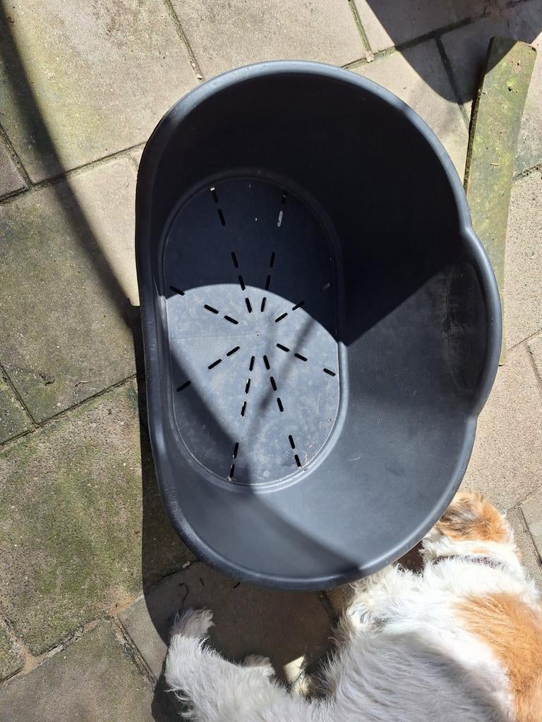 Hondenmand zonder hond nog goed inorde, Ophalen