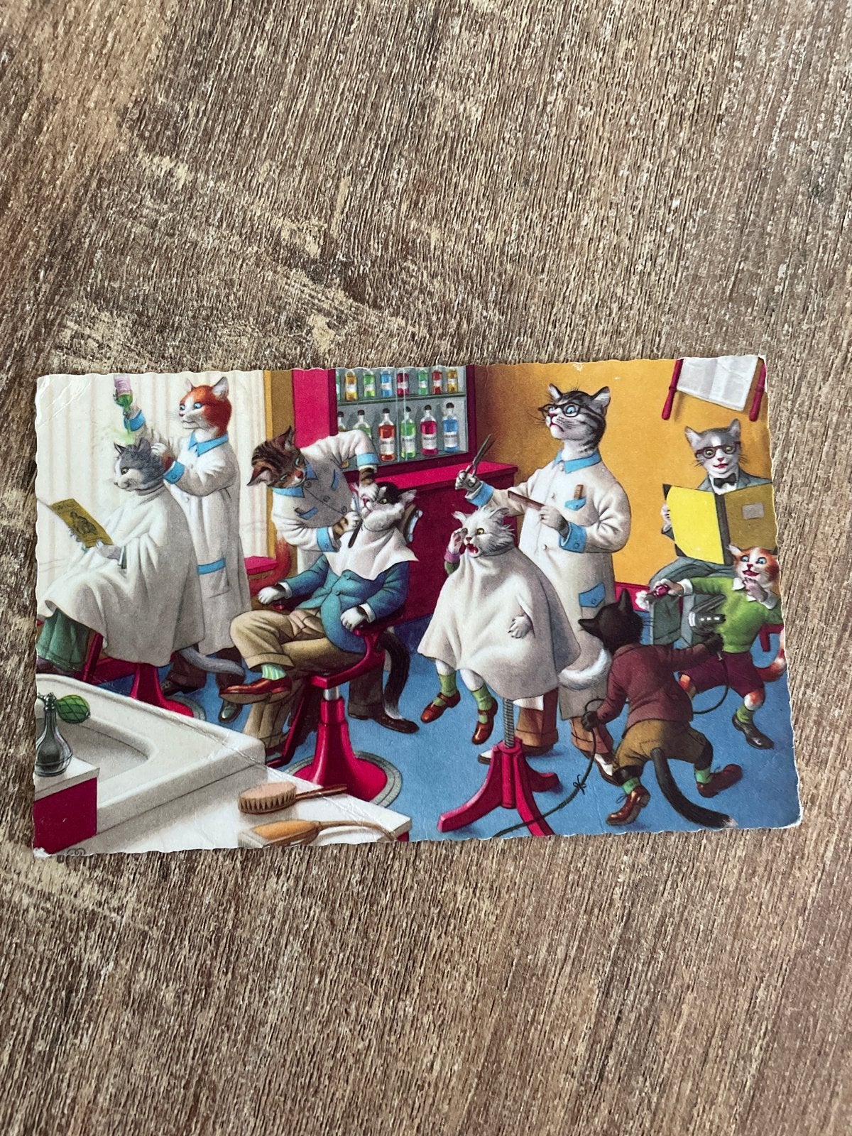 Vintage Ansichtkaart: Katten Kapperszaak (1961), Ophalen of Verzenden, 1960 tot 1980, Gelopen, Gelderland