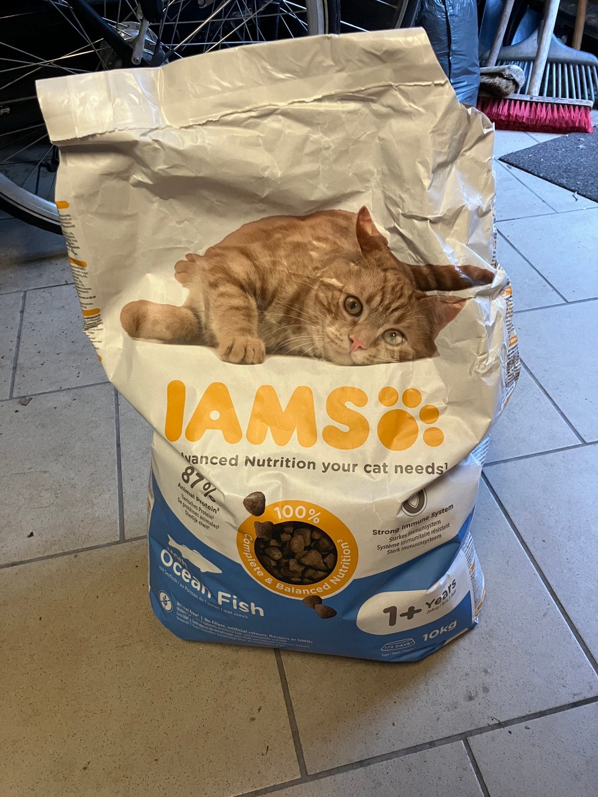 IAMS katten brokken, Ophalen, Kat
