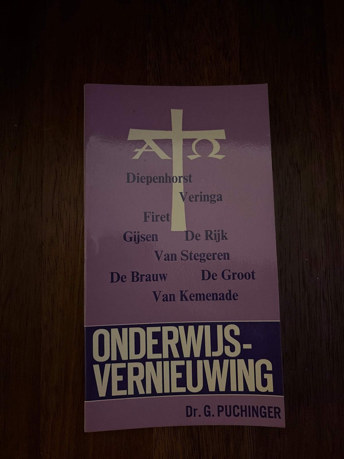 Onderwijsvernieuwing - Dr. G. Puchinger, Ophalen of Verzenden, Gamma, Gelezen, HBO