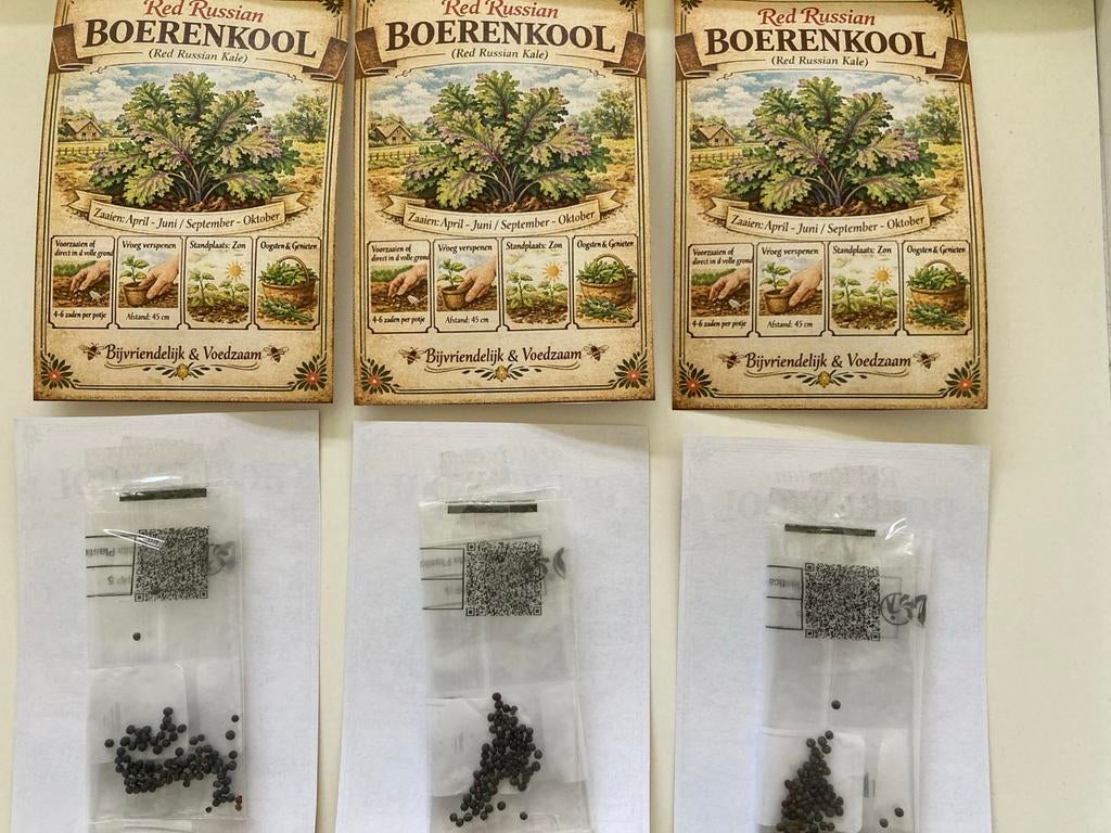 Zaden Red Russian boerenkool, Ophalen of Verzenden, Voorjaar, Volle zon, Zaad