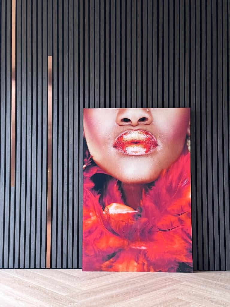 Plexiglas schilderij “Lippen” voor slechts 57 euro, Ophalen
