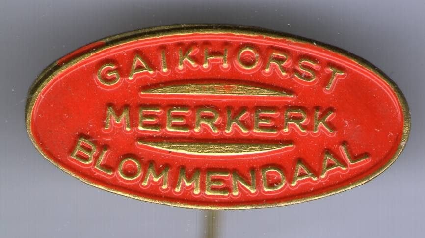 Gaikhorst Meerkerk Blommendaal rood op koper speld ( M_044a), Verzenden, Nieuw, Merk, Speldje of Pin