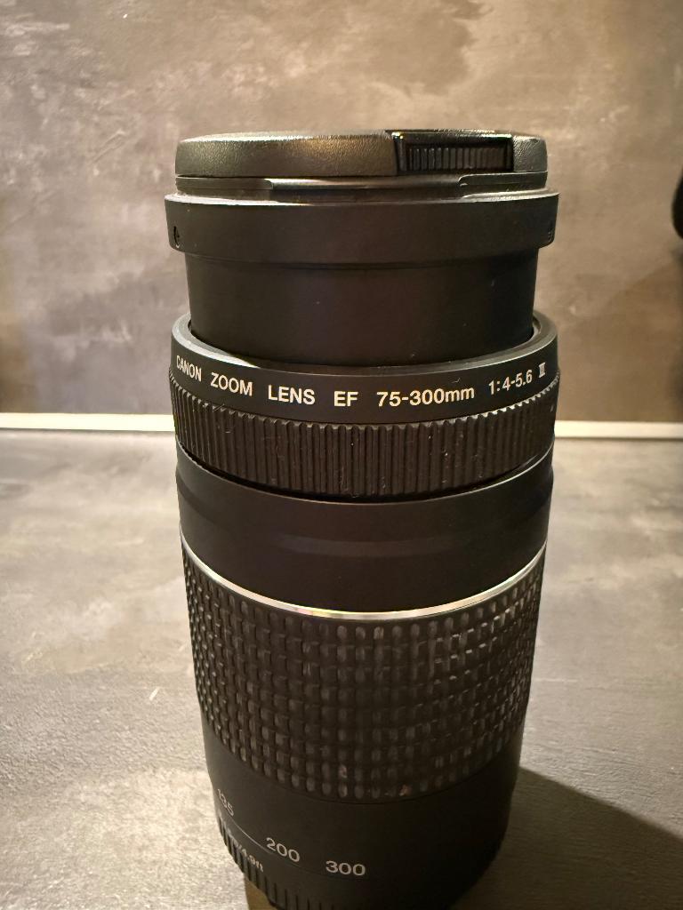 Canon  EF zoom lens  75-300. 1:4-5.6 III, Audio, Tv en Foto, Fotografie | Lenzen en Objectieven, Ophalen of Verzenden, Gebruikt