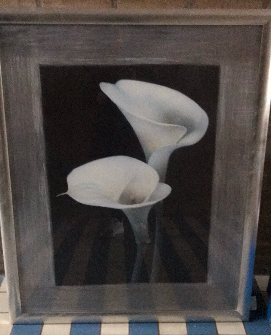 Schilderij aronskelken, Ophalen, Zo goed als nieuw, Schilderij
