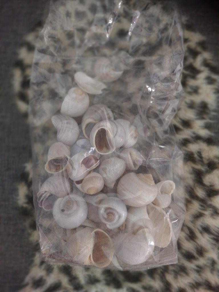 Zakje met diverse schelpen - Decoratie/Hobby, Ophalen, Gebruikt, Meerkleurig, Overige stijlen