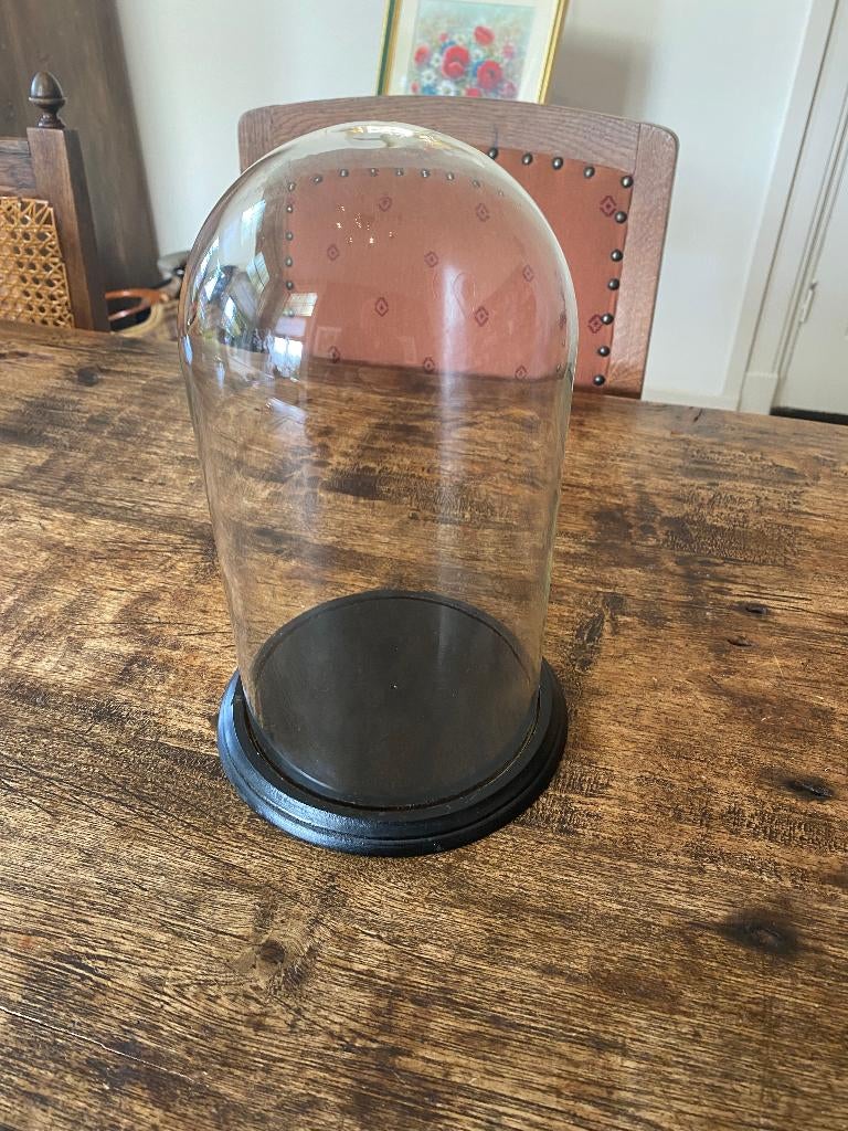 Brocante, glazen stolp met zwart houten onderbord, Ophalen