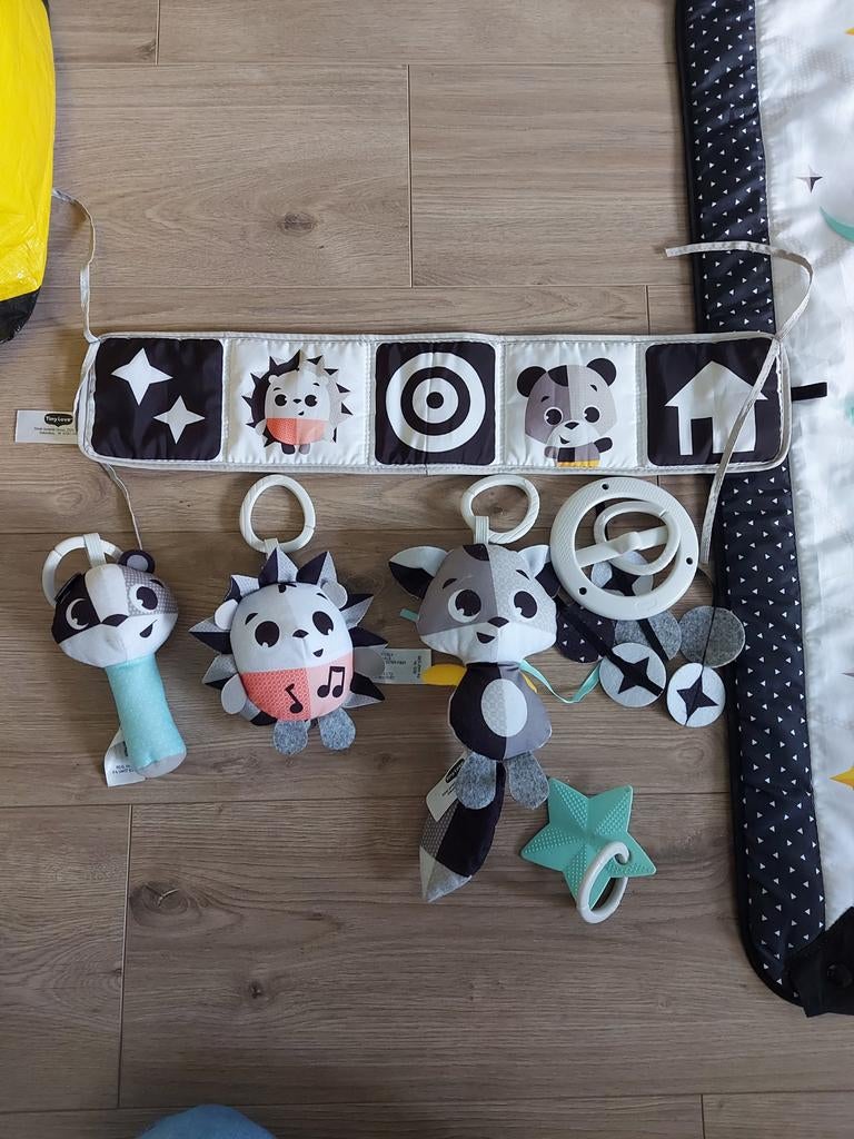 Tiny love speelkleed, Ophalen, Gebruikt