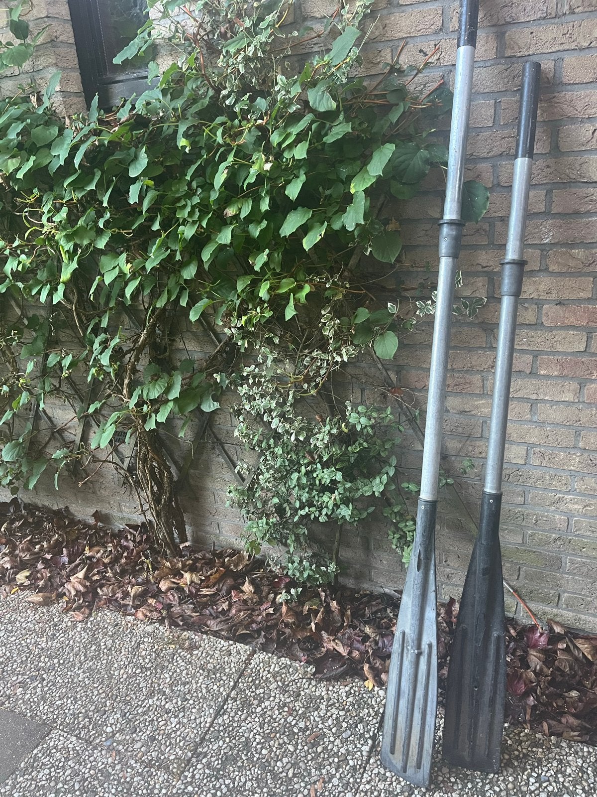 Roeispanen, Ophalen, Gebruikt, Dubbelbladige peddel
