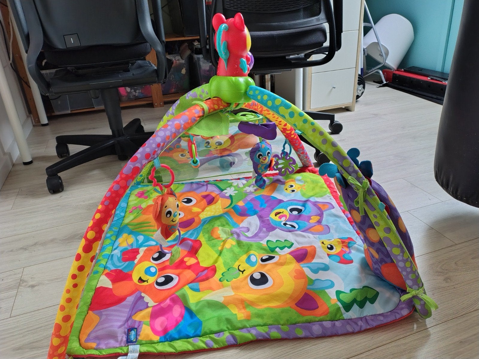 Playgro Speelkleed met Muziek, Ophalen, Zo goed als nieuw
