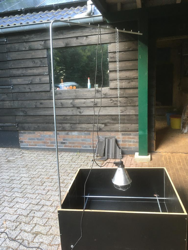 Te huur Werpkist middelgrote hond, Dieren en Toebehoren, Honden-accessoires, Ophalen, Zo goed als nieuw