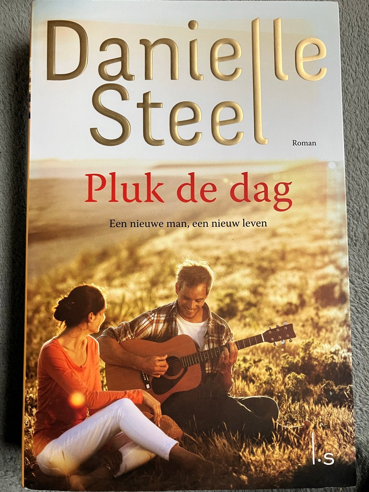 Danielle Steel - Pluk de dag (Roman), Ophalen of Verzenden, Zo goed als nieuw, Nederland