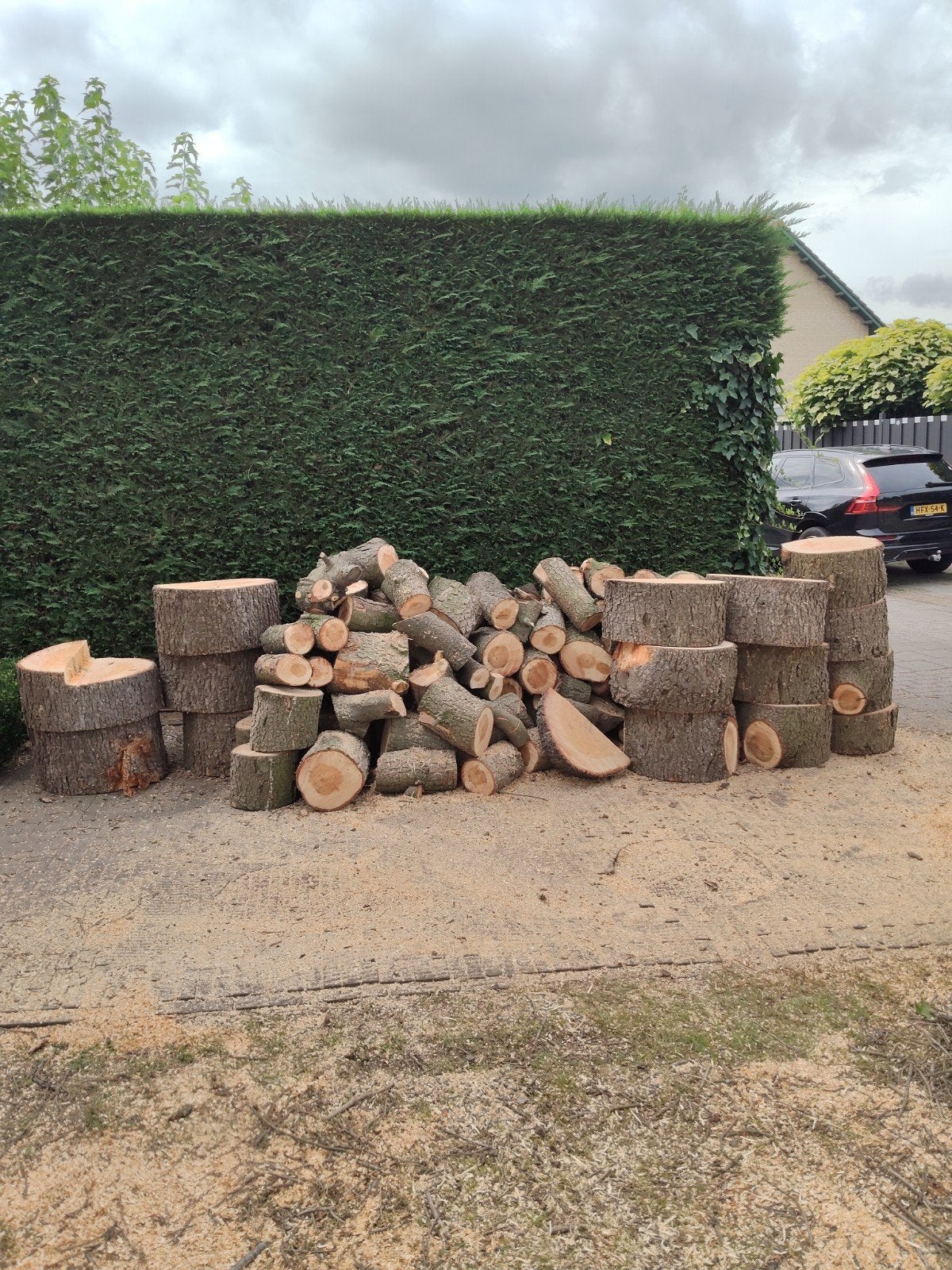 ong. 3 kuub naaldhout, 6 m³ of meer, Ophalen, Eikenhout, Blokken