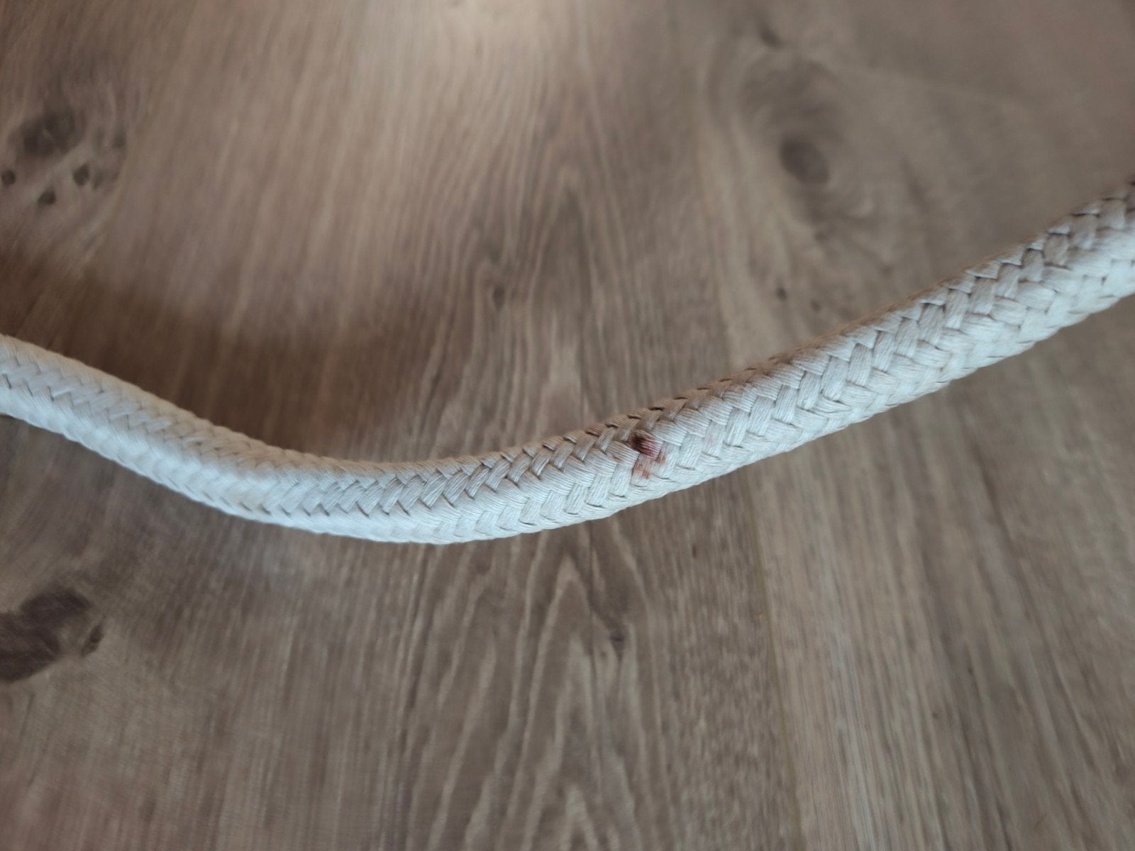 leadrope grondwerk touw lijn loswerktouw, Dieren en Toebehoren, Ophalen of Verzenden, Gebruikt