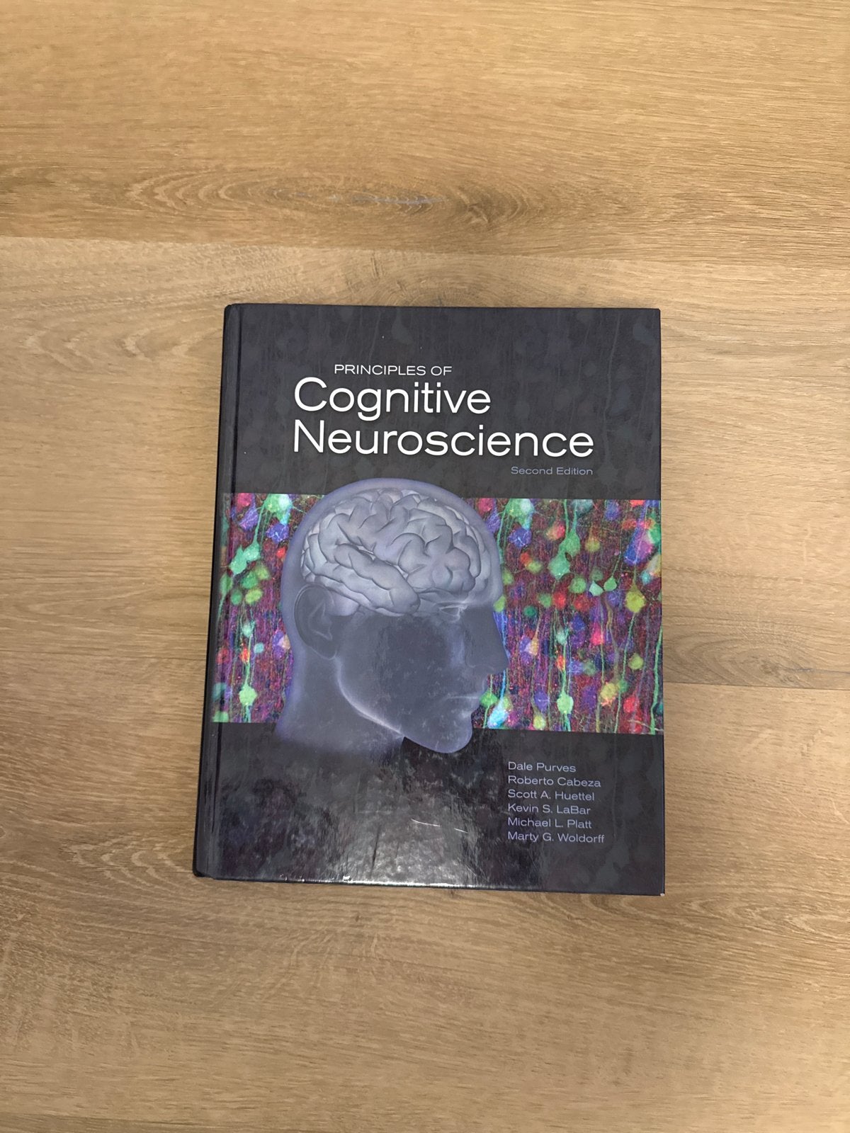 Principles of Cognitive Neuroscience - Tweede Editie, Boeken, Ophalen of Verzenden, Beta, Gelezen, HBO